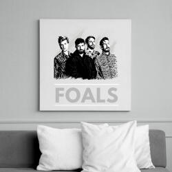 printfashion FOALS-BW PAINTED - Vászonkép - Fehér (6632565)
