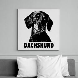 printfashion Dachshund - Vászonkép - Fehér (13537423)