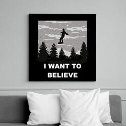 printfashion Hinni akarok - Vászonkép - Fekete (6643265)