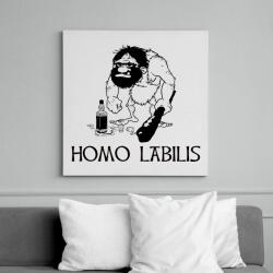 printfashion homo labilis - Vászonkép - Fehér (6632067)