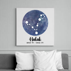 printfashion Halak - Vászonkép - Fehér (7475509)