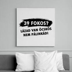 printfashion Lázad van nem pálinkád! - Vászonkép - Fehér (6636424)