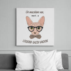 printfashion Úri macskám van 2 - Vászonkép - Fehér (6640753)