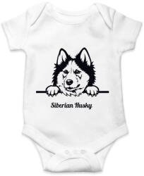 printfashion Szibériai Husky - Baba Body - Fehér (5117907)