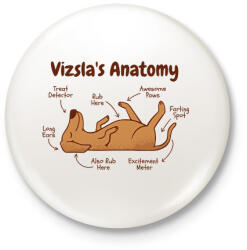 printfashion Vizsla anatómia - Kitűző, hűtőmágnes - Fehér (7530810)