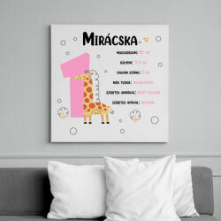 printfashion Baba adatok (lány) - Vászonkép - Fehér (8097675)