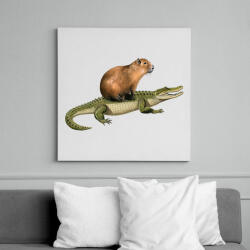 printfashion Capybara krokodil háton - Vászonkép - Fehér (15976404)
