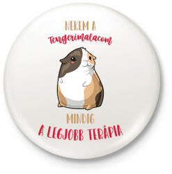 printfashion Legjobb terápia - Tengerimalac - Kitűző, hűtőmágnes - Fehér (7093829)