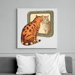 printfashion Macska tükörben - Vászonkép - Fehér (13656830)