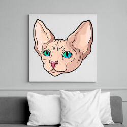 printfashion Szfinx macska buksi - Vászonkép - Fehér (6634837)