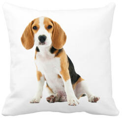 printfashion Beagle kutyás póló minta - Párnahuzat, Díszpárnahuzat - Fehér (1034512)