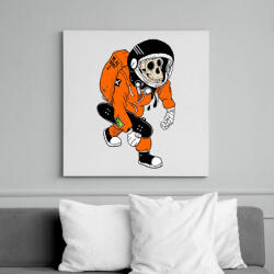 printfashion Space Skate Monkey - Vászonkép - Fehér (6629276)