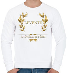 printfashion Levente - Férfi pulóver - Fehér (2814349)
