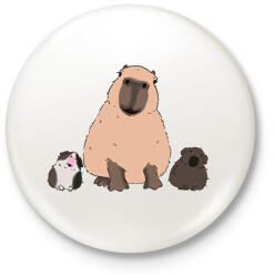 printfashion Capybara és tengerimalacok - Kitűző, hűtőmágnes - Fehér (13863195)