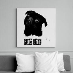 printfashion pug life2 - Vászonkép - Fehér (6627414)