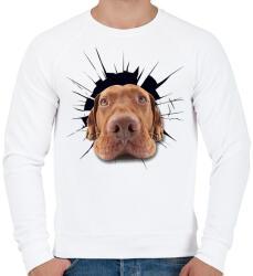 printfashion Vizsla - Férfi pulóver - Fehér (912715)