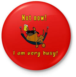 printfashion Ne most nagyon elfoglalt vagyok - Kitűző, hűtőmágnes - Piros (3111161)