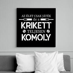 printfashion A krikett teljesen komoly - Vászonkép - Fekete (15836015)