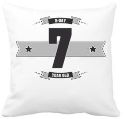 printfashion b-day-07-dark-lightgrey - Párnahuzat, Díszpárnahuzat - Fehér (505708)