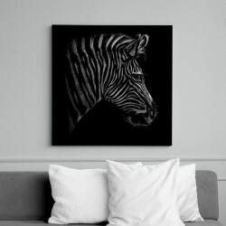 printfashion Zebra portré - Vászonkép - Fekete (6658363)