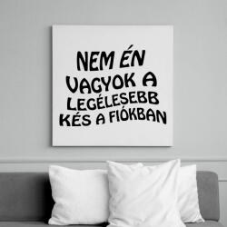 printfashion Nem én vagyok - Vászonkép - Fehér (6636860)