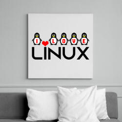 printfashion I love linux - Vászonkép - Fehér (6633678)