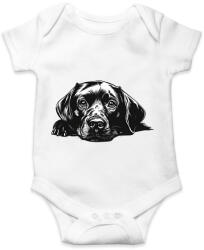 printfashion Husky Sziluett - Baba Body - Fehér (16725864)