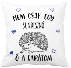 printfashion Nem csak egy sündisznó - Párnahuzat, Díszpárnahuzat - Fehér (7093662)
