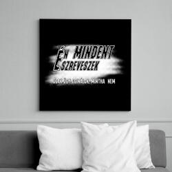 printfashion Én mindent észreveszek csak úgy csinálok, mintha nem - Vászonkép - Fekete (16540565)