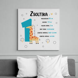 printfashion Baba adatok (fiú) - Vászonkép - Fehér (8097674)