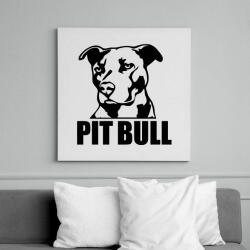 printfashion pitbull-png-273352 - Vászonkép - Fehér (6634860)