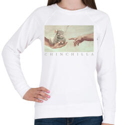 printfashion Csincsilla teremtése - Női pulóver - Fehér (10956963)