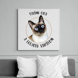 printfashion Sziámi cica - Legjobb barát - Vászonkép - Fehér (7170900)