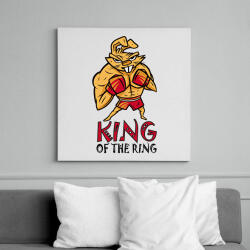 printfashion King of the ring - boxoló nyúl - Vászonkép - Fehér (6636099)