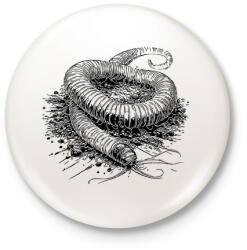 printfashion Földigiliszta rajz - Kitűző, hűtőmágnes - Fehér (16690782)