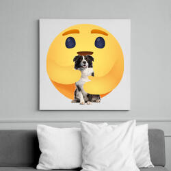 printfashion Border collie - Vászonkép - Fehér (13041146)