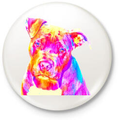 printfashion Színes bull típusú kutyus - Kitűző, hűtőmágnes - Fehér (14010031)
