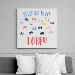 printfashion Sleeping is my hobby - Vászonkép - Fehér (7541983)