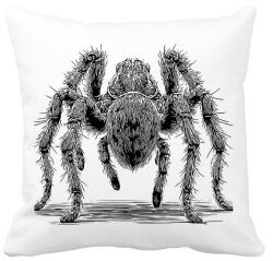 printfashion Madárpók / Tarantula / Pók rajz - Párnahuzat, Díszpárnahuzat - Fehér (16685219)