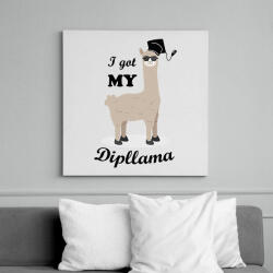 printfashion I got my dipllama - Vászonkép - Fehér (6640873)