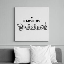 printfashion I love my dachshund - Vászonkép - Fehér (11848886)
