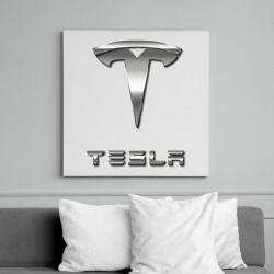 printfashion Tesla - Vászonkép - Fehér (6629141)