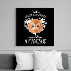 printfashion Megtaláltam a mancsod - Macska - Vászonkép - Fekete (6659738)