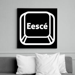 printfashion ESC - Vászonkép - Fekete (6660889)