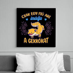 printfashion Egy fiú - Gekkó - Vászonkép - Fekete (10784102)