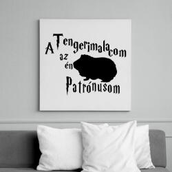 printfashion A Tengerimalacom az én Patrónusom - Vászonkép - Fehér (16499857)