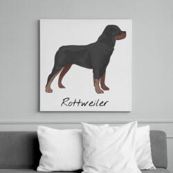 printfashion Rottweiler kutya - Vászonkép - Fehér (6624472)