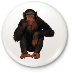 printfashion Vicces Csimpánz - Kitűző, hűtőmágnes - Fehér (3081301)