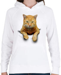 printfashion Cica zsebben - Női kapucnis pulóver - Fehér (14752769)