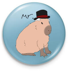 printfashion Mr. Capybara - Kitűző, hűtőmágnes - Világoskék (13864870)
